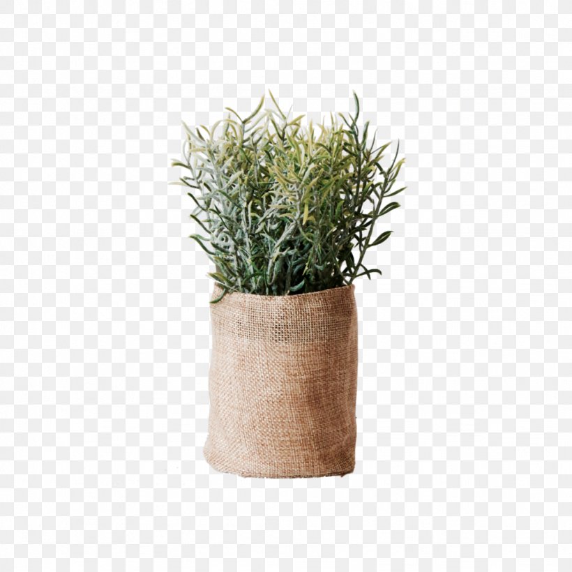 Flowerpot Vase Herb Ceramic Plant, PNG, 1024x1024px, Flowerpot, Ceramic, Color, Description, Grass Download Free