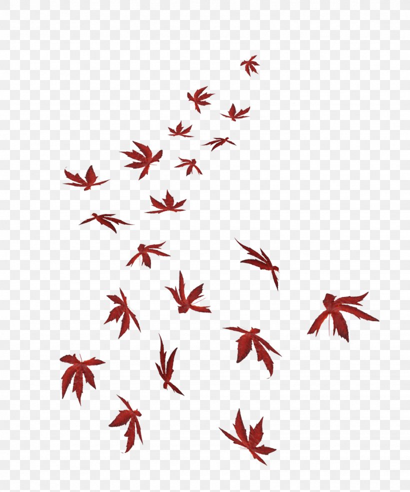 Maple Leaf, PNG, 1333x1600px, Leaf, Autumn, Autumn Leaf Color, Clip Art, Maple Download Free