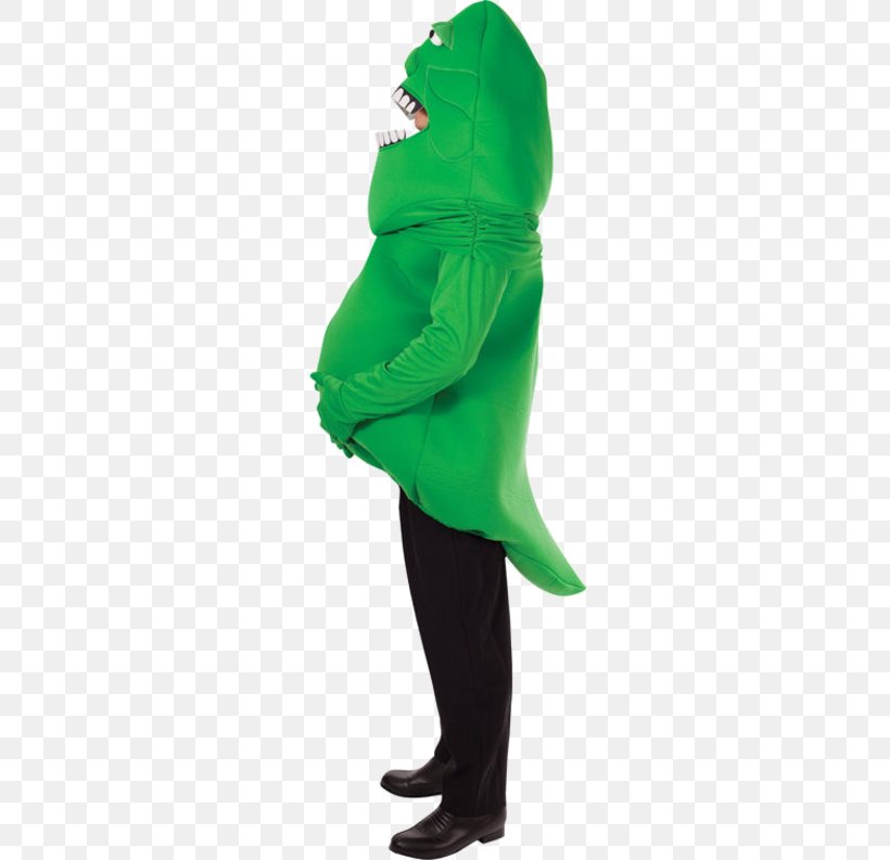 Amphibian Green Outerwear, PNG, 500x793px, Amphibian, Costume, Green, Outerwear, Vertebrate Download Free