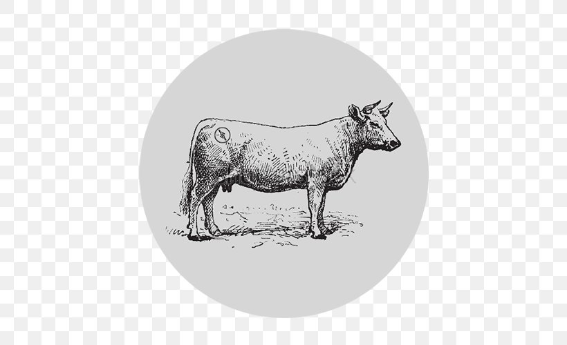 Beef Cattle Charolais Cattle Steak Meat, PNG, 500x500px, Beef Cattle, Beef, Black And White, Bull, Cattle Download Free