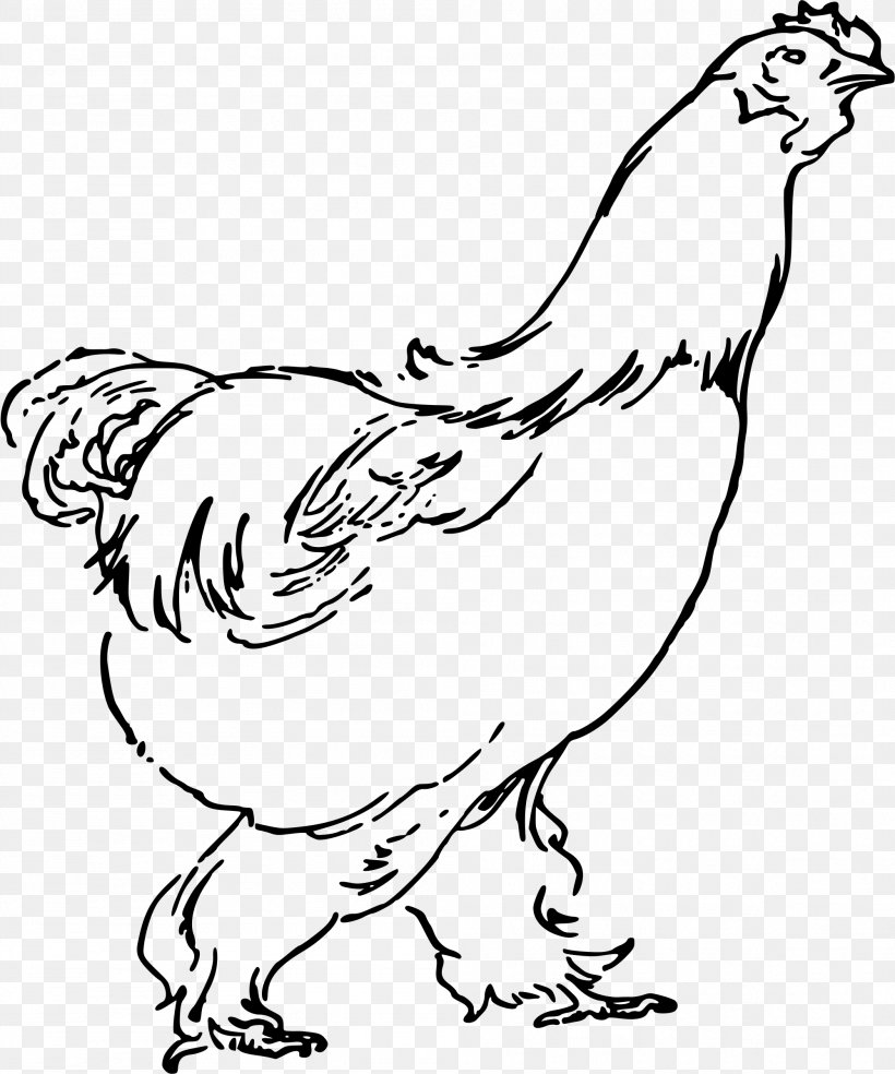 Chicken Soup Rooster Fried Chicken Clip Art, PNG, 1999x2400px, Chicken, Art, Artwork, Beak, Bird Download Free