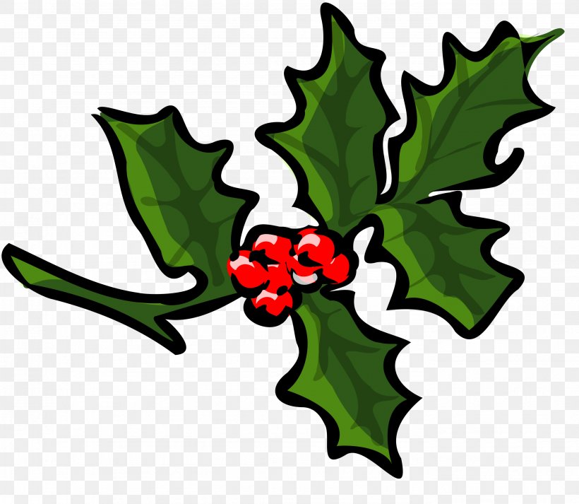 Common Holly Clip Art, PNG, 2757x2400px, Common Holly, Animation, Aquifoliaceae, Aquifoliales, Artwork Download Free