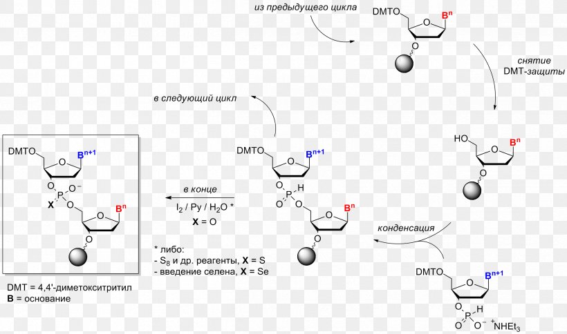 Oligonucleotide Synthesis Chemistry Nucleic Acid Chemical Synthesis, PNG, 2504x1479px, Oligonucleotide Synthesis, Area, Chemical Synthesis, Chemistry, Diagram Download Free