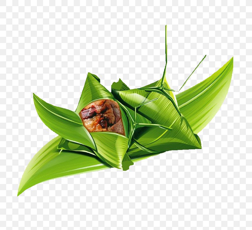 Zongzi Nian Gao U7aefu5348 Dragon Boat Festival, PNG, 750x750px, Zongzi, Designer, Dragon Boat Festival, Dumpling, Food Download Free