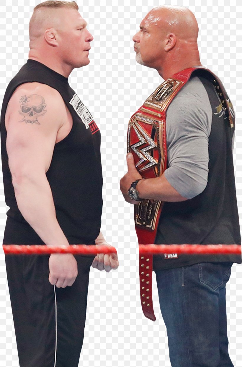 Brock Lesnar Roman Reigns WrestleMania 33 Professional Wrestler Professional Wrestling, PNG, 1020x1545px, Watercolor, Cartoon, Flower, Frame, Heart Download Free