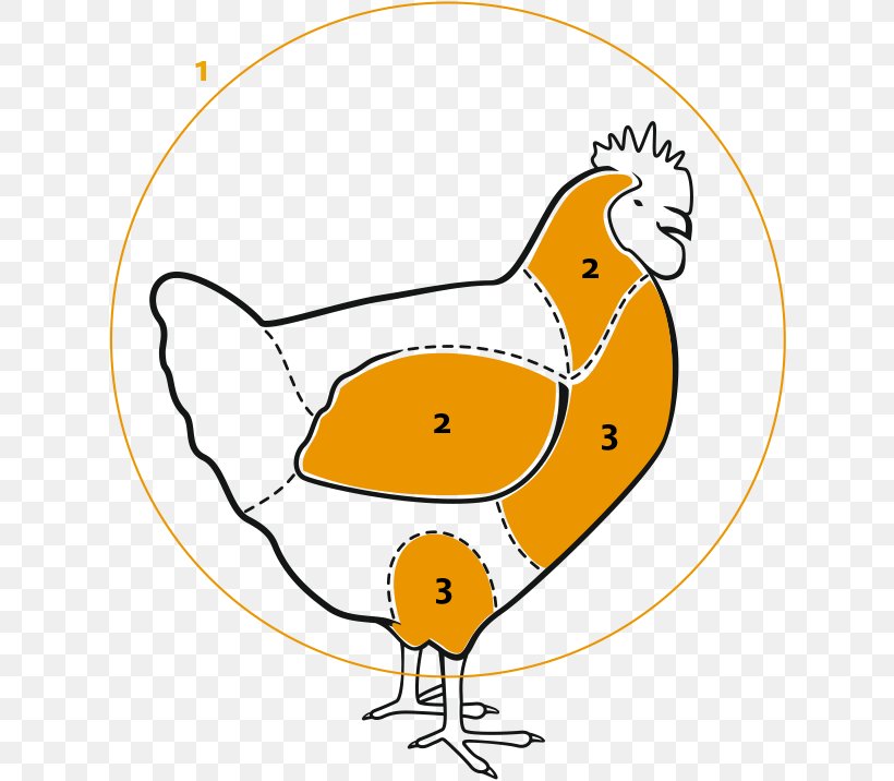 Chicken Clip Art Fauna Cartoon, PNG, 740x716px, Chicken, Area, Art, Artwork, Beak Download Free
