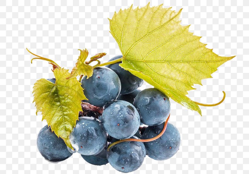 Juice Wine Grape Seed Extract, PNG, 800x573px, Juice, Berry, Bilberry, Blueberry, Drink Download Free