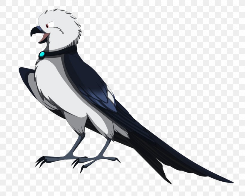 Swallow-tailed Kite Drawing Beak Bird, PNG, 900x719px, Swallowtailed Kite, Art, Artist, Beak, Bird Download Free