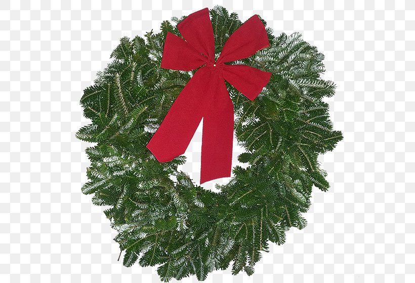 Wreath Christmas Ornament Spruce Christmas Day, PNG, 600x558px, Wreath, Christmas, Christmas Day, Christmas Decoration, Christmas Ornament Download Free