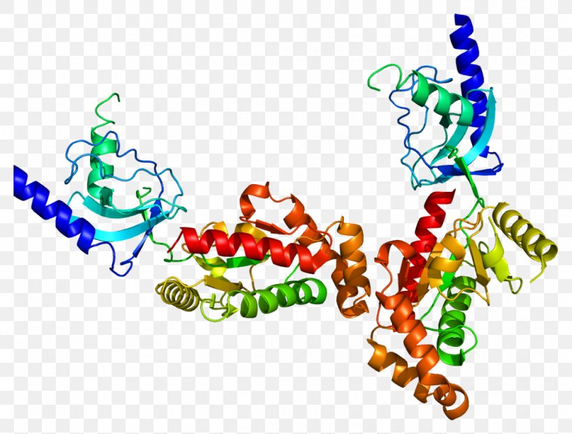 CACNB4 Voltage-gated Calcium Channel Cav2.1 Gene, PNG, 1055x801px, Voltagegated Calcium Channel, Area, Calcium, Calcium Channel, Gene Download Free