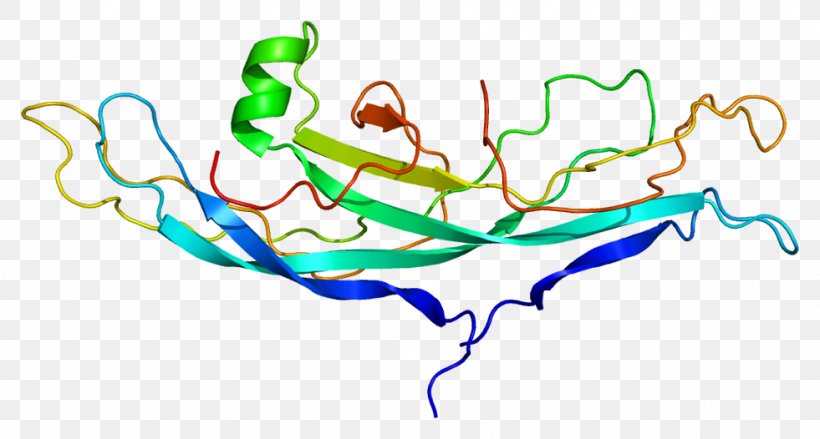 CGB2 Human Chorionic Gonadotropin Protein Subunit Gene, PNG, 981x526px, Watercolor, Cartoon, Flower, Frame, Heart Download Free