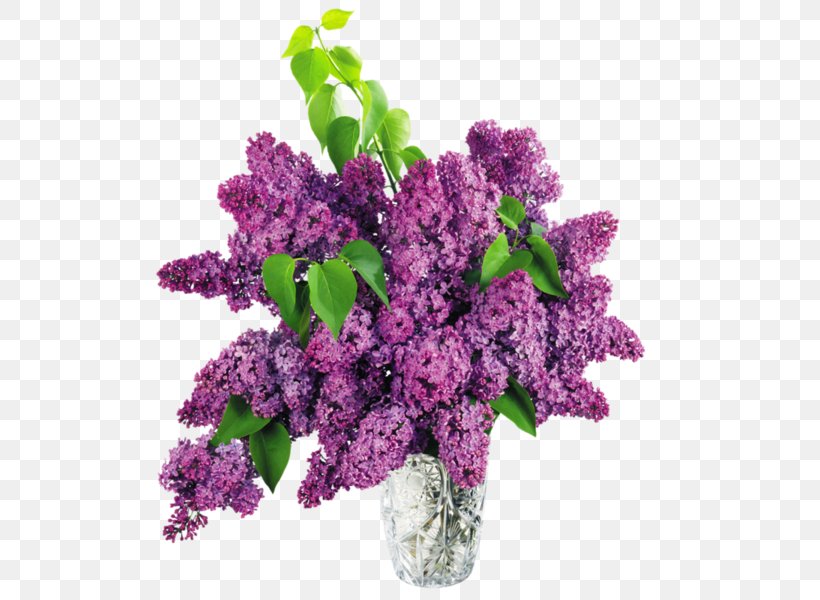 Common Lilac Lavender Clip Art, PNG, 600x600px, Common Lilac, Color, Cut Flowers, Flower, Flowerpot Download Free