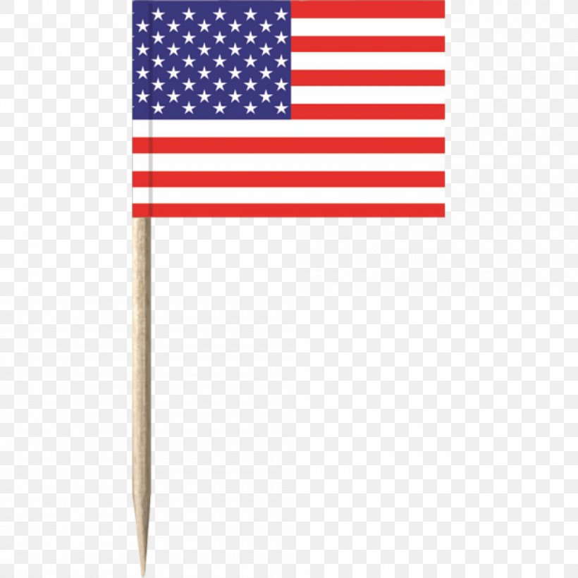 Flag Of The United States Flagpole Sand Flag, PNG, 1000x1000px, United States, Allterrain Vehicle, Area, Flag, Flag Of The United States Download Free