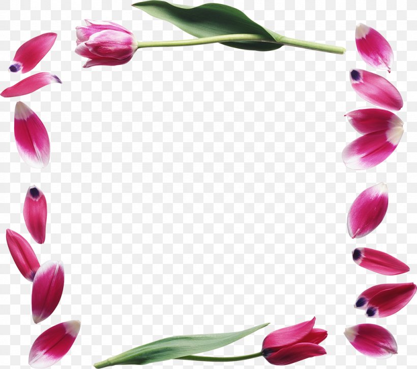Flower International Women's Day Holiday Tulip Woman, PNG, 1024x909px, 8 March, 2018, Flower, Beauty, Blog Download Free