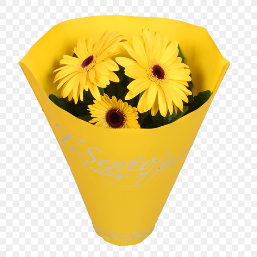 Flowerpot Transvaal Daisy Cut Flowers Chrysanthemum, PNG, 1165x1165px, Flowerpot, Chrysanthemum, Color, Cut Flowers, Daisy Family Download Free