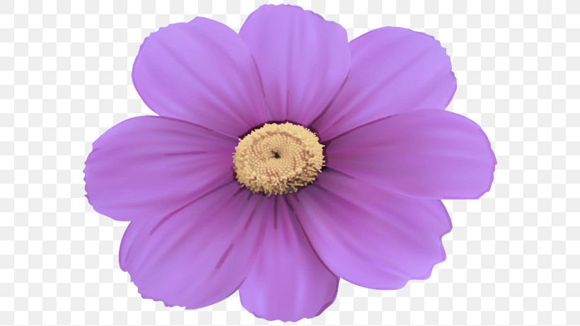 Petal Violet Flower Purple Pink, PNG, 600x461px, Petal, Annual Plant, Daisy Family, Flower, Herbaceous Plant Download Free