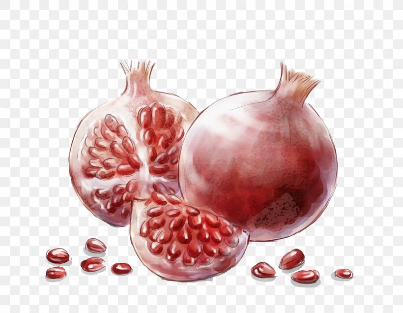 Pomegranate Watercolor Painting Auglis, PNG, 2122x1647px, Pomegranate, Artworks, Auglis, Cranberry, Designer Download Free