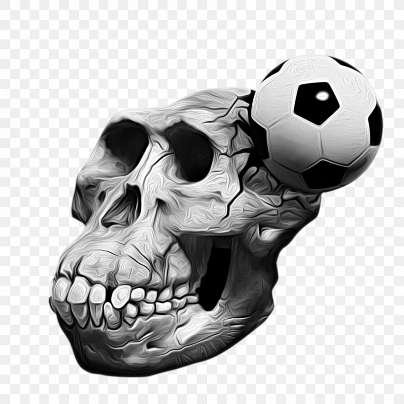 Skull Australopithecus Afarensis, PNG, 900x900px, Skull, Australopithecus Afarensis, Ball, Black And White, Bone Download Free