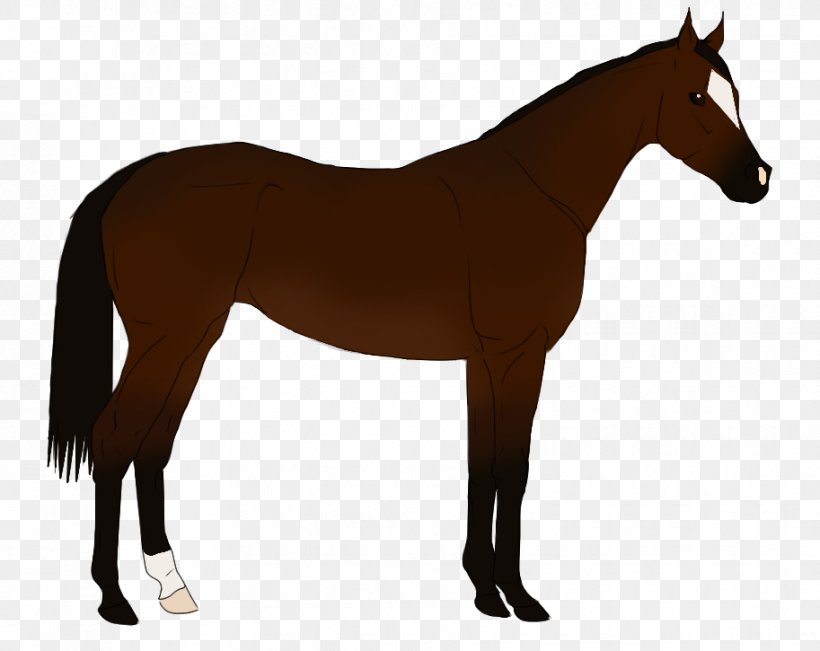Shire Horse Belgian Horse Arabian Horse Foal Mare, PNG, 913x725px, Shire Horse, Arabian Horse, Bay, Belgian Horse, Breed Download Free