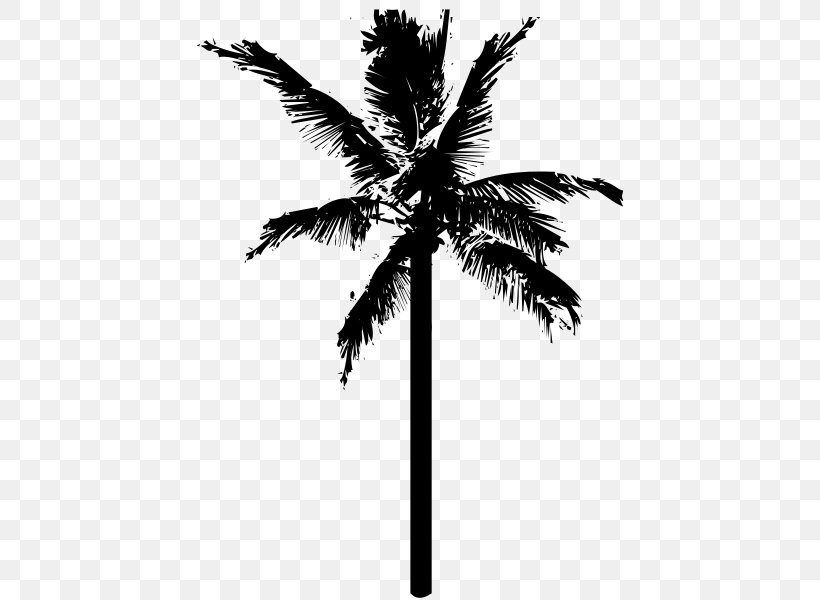 Coconut Arecaceae Clip Art, PNG, 436x600px, Coconut, Arecaceae, Arecales, Black And White, Borassus Flabellifer Download Free