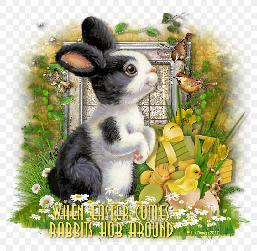 Domestic Rabbit Easter Bunny Hare, PNG, 800x800px, Domestic Rabbit, Easter, Easter Bunny, Fauna, Grass Download Free