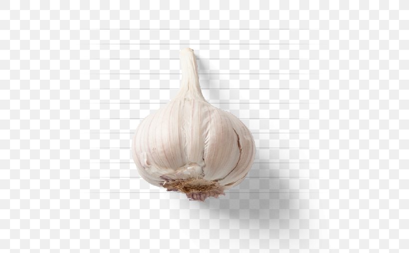 Garlic, PNG, 648x508px, Garlic Download Free
