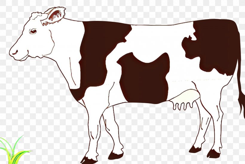 Clip Art Vector Graphics Ayrshire Cattle Drawing Beef Cattle, PNG, 2400x1612px, Ayrshire Cattle, Animal Figure, Art, Barn, Beef Cattle Download Free