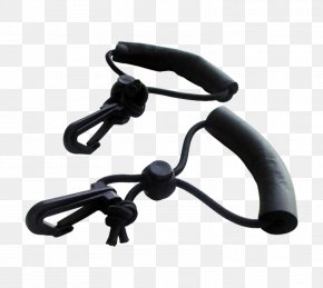 Dog - Mobility Assistance Dog Dog Booties Wheelchair PNG