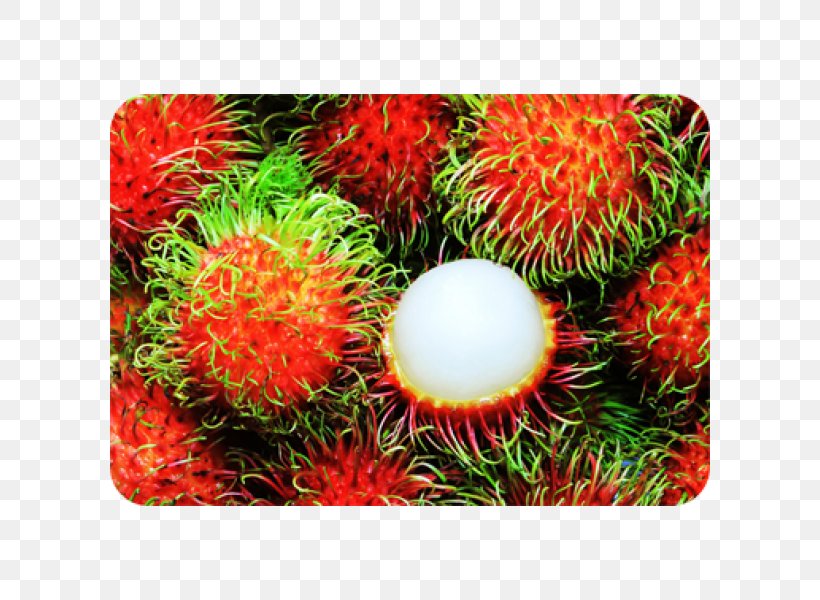 Tropical Fruit Rambutan Juice Pitaya, PNG, 600x600px, Fruit, Apple, Food, Guava, Health Download Free