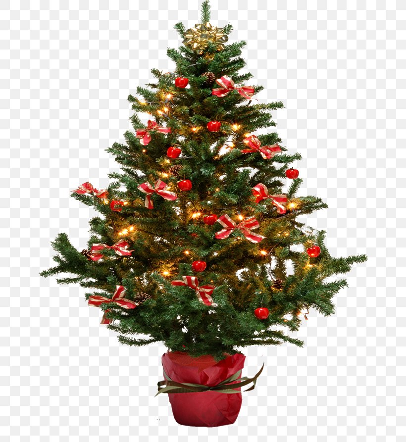 Christmas Tree Christmas Card, PNG, 671x893px, Fir, Artificial Christmas Tree, Christmas, Christmas Decoration, Christmas Ornament Download Free