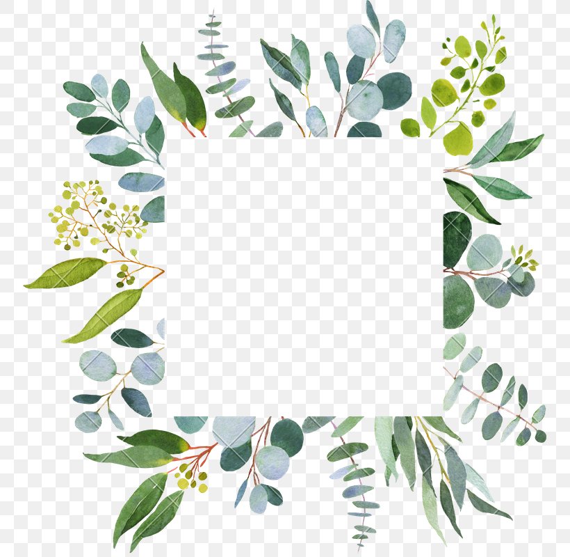 Download Clip Art Stock Illustration Wedding Vector Graphics Png 753x800px Wedding Botany Branch Flower Green Wedding Download