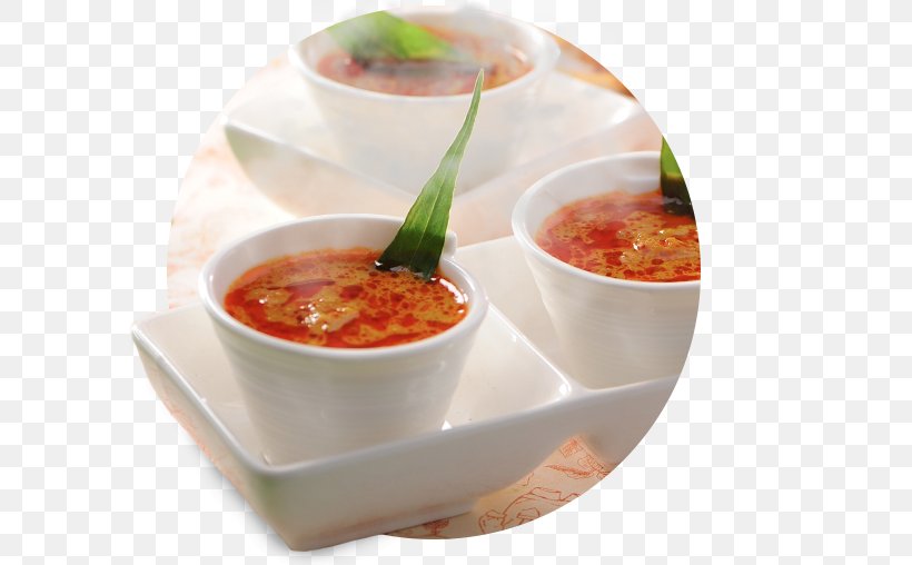 Gazpacho Biryani Curry Powder Laksa Indian Cuisine, PNG, 598x508px, Gazpacho, Biryani, Bumbu, Condiment, Coriander Download Free