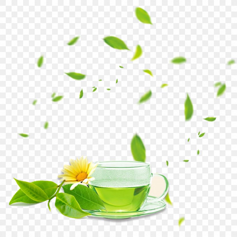 Green Tea Coffee Cup Herbalism Still Life Photography, PNG, 1000x1000px, Green Tea, Alternative Health Services, Alternative Medicine, Coffee Cup, Computer Download Free