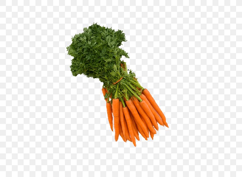 Juice Carrot Vegetarian Cuisine Vegetable Food, PNG, 600x600px, Juice, Avocado, Baby Carrot, Broccoli, Carrot Download Free