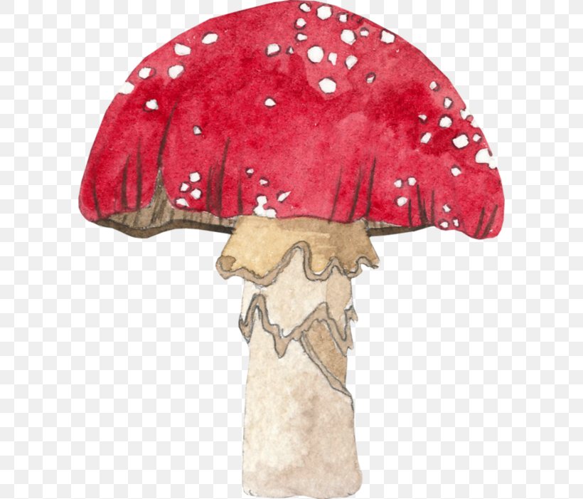 Mushroom Cartoon, PNG, 600x701px, Jaw, Agaric, Fungus, Headgear, Mushroom Download Free