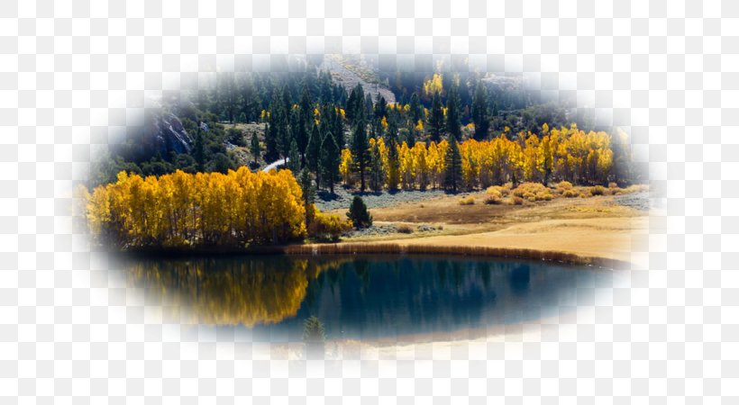 Desktop Wallpaper Lake Autumn High-definition Television, PNG, 800x450px, 4k Resolution, Lake, Autumn, Calm, Cottage Download Free