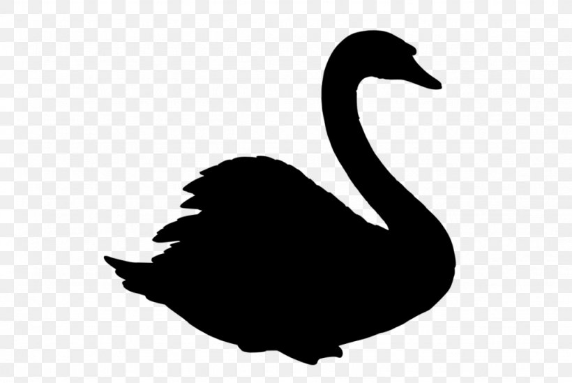 Duck Goose Swans Atlas Pro DJs Image, PNG, 1024x686px, Duck, Beak, Bird, Black Swan, Blackandwhite Download Free