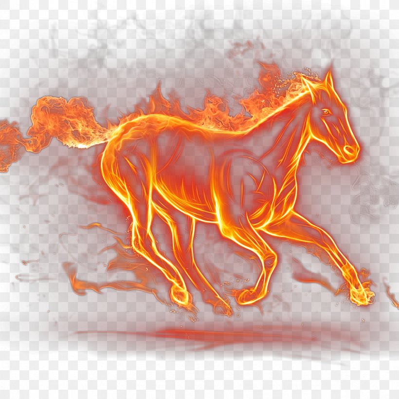 Flame Fire BMW Combustion, PNG, 1181x1181px, Fire, Computer Graphics, Flame, Horse, Horse Like Mammal Download Free
