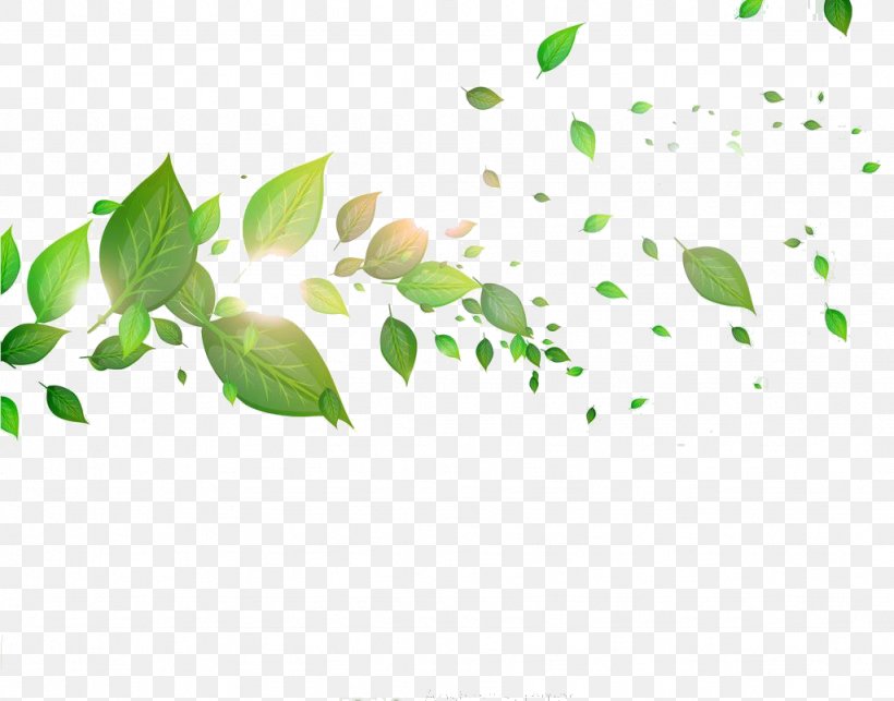 Leaf, PNG, 1024x804px, Leaf, Designer, Grass, Green, Plot Download Free