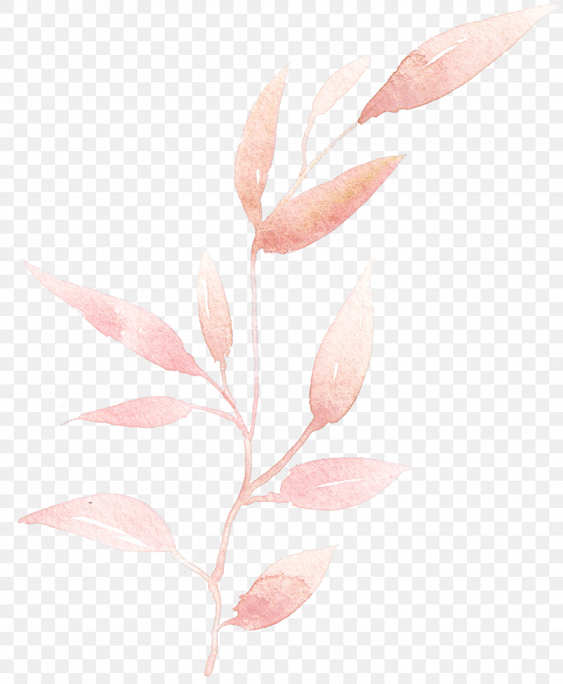 Pink Leaf Plant Flower Pedicel, PNG, 2010x2443px, Pink, Branch, Flower, Leaf, Magnolia Download Free