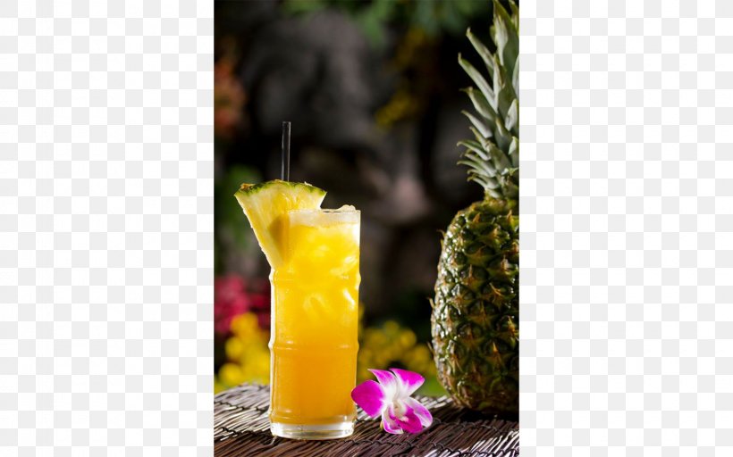 Cocktail Garnish Tiki Culture Mai Tai Rum, PNG, 1600x1000px, Cocktail Garnish, Cocktail, Don The Beachcomber, Drink, Harvey Wallbanger Download Free