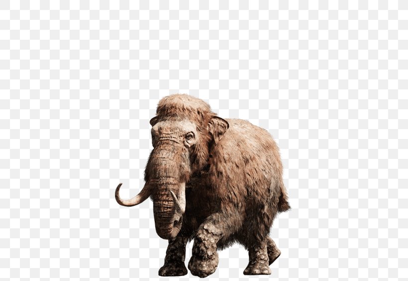 Far Cry Primal Far Cry 3 Far Cry Instincts Far Cry 5, PNG, 557x566px, Far Cry Primal, African Elephant, Cattle Like Mammal, Elephant, Elephants And Mammoths Download Free