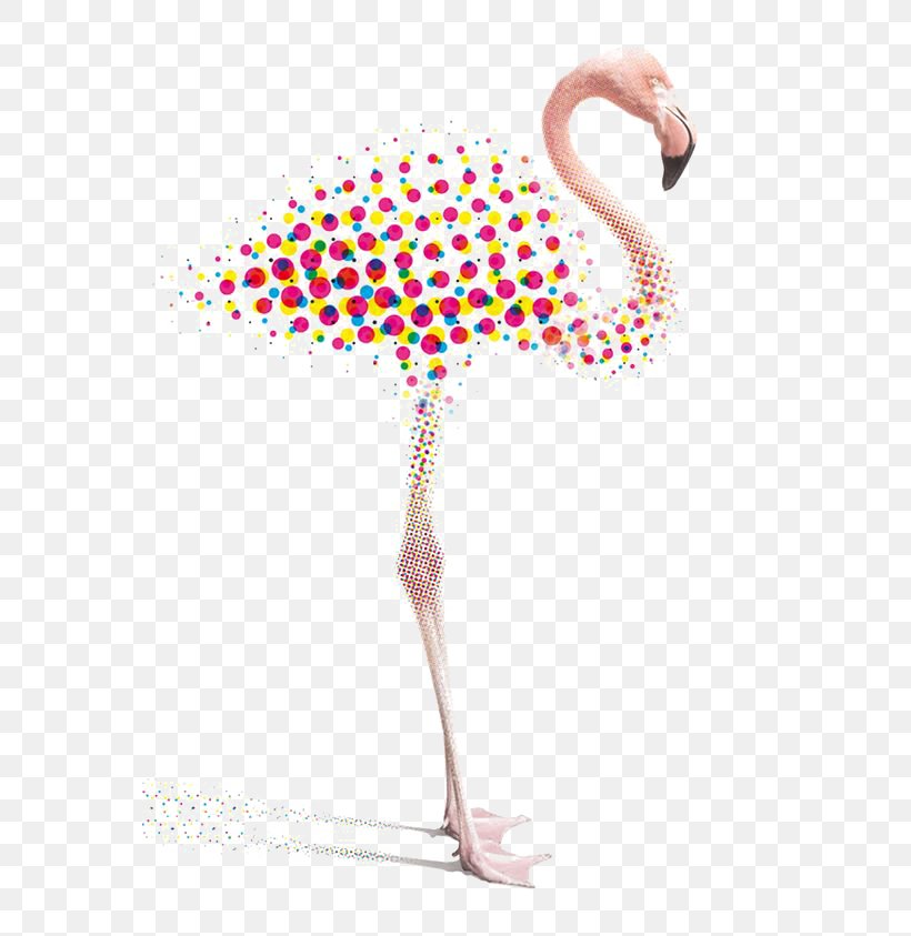 Graphic Design Flamingo Illustration, PNG, 564x843px, Flamingo, Art, Beak, Bird, Creative Industries Download Free