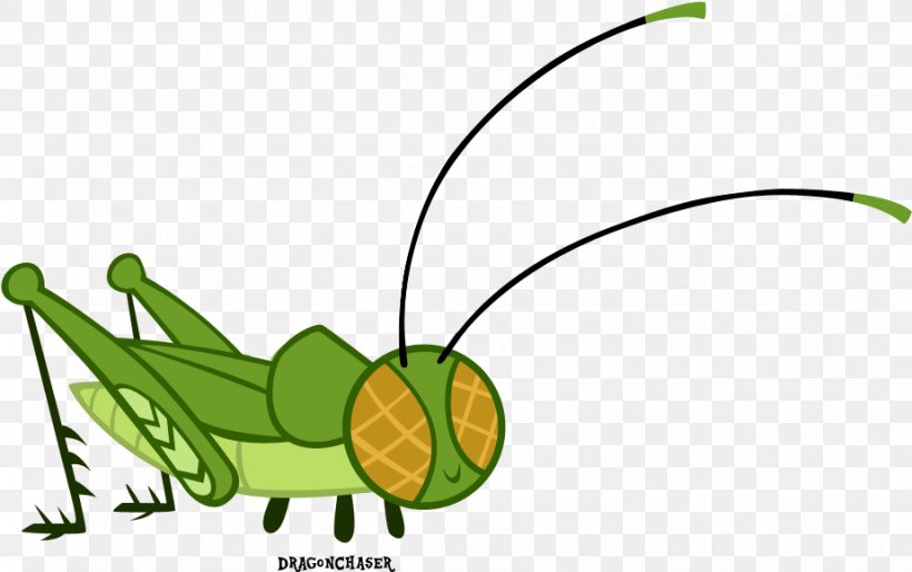 Green Leaf Background, PNG, 923x579px, Insect, Artist, Atractomorpha, Citrus, Cricket Download Free