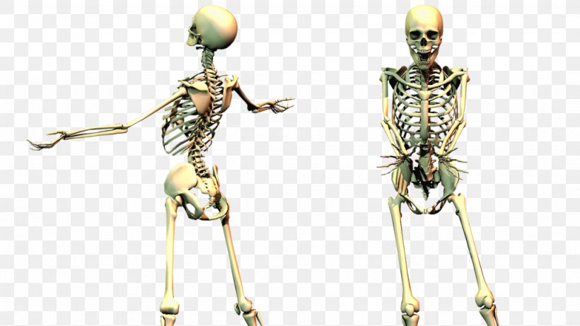 Jump Scare Skeleton Clip Art, PNG, 1024x576px, Jump Scare, Human, Human Skeleton, Joint, Muscle Download Free