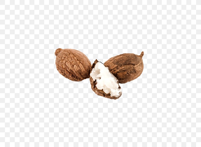 Lotion Vitellaria Shea Butter Nut, PNG, 600x600px, Lotion, Blueberry, Butter, Coconut, Coconut Oil Download Free