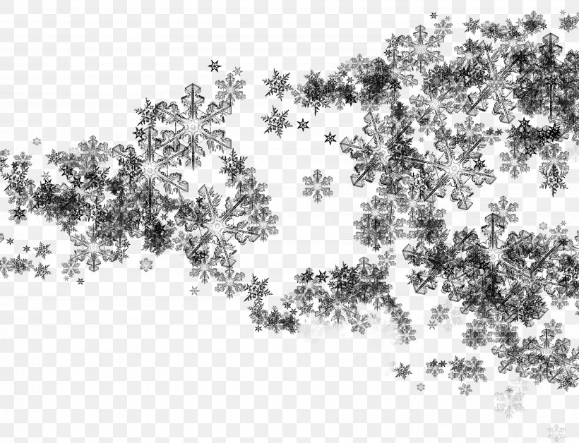 Photography Clip Art, PNG, 3600x2761px, Photography, Black, Black And White, Branch, Christmas Download Free