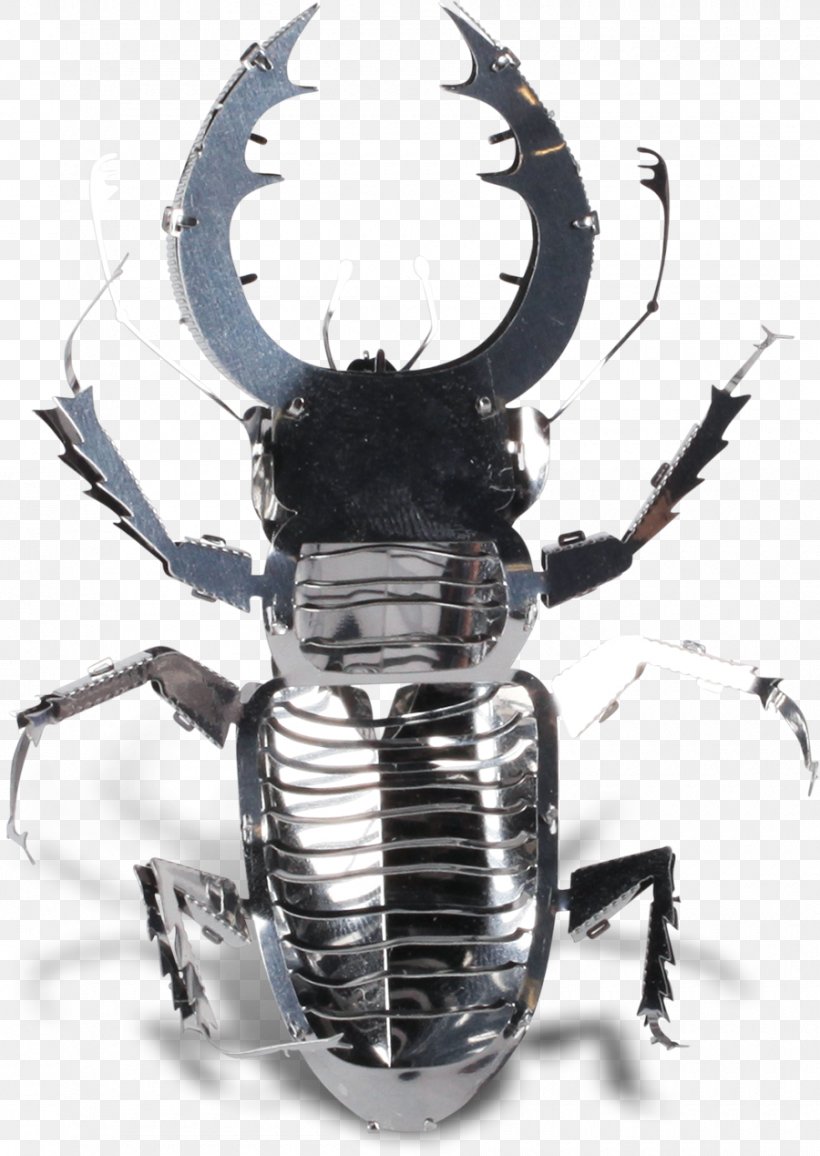 Stag Beetle Hercules Beetle Metal Rhinoceros Beetles, PNG, 900x1269px, Beetle, Decapoda, Exoskeleton, Forging, Hercules Beetle Download Free