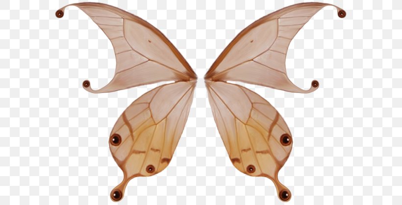 Butterfly Wing, PNG, 600x419px, Butterfly, Bombycidae, Insect, Invertebrate, Moth Download Free
