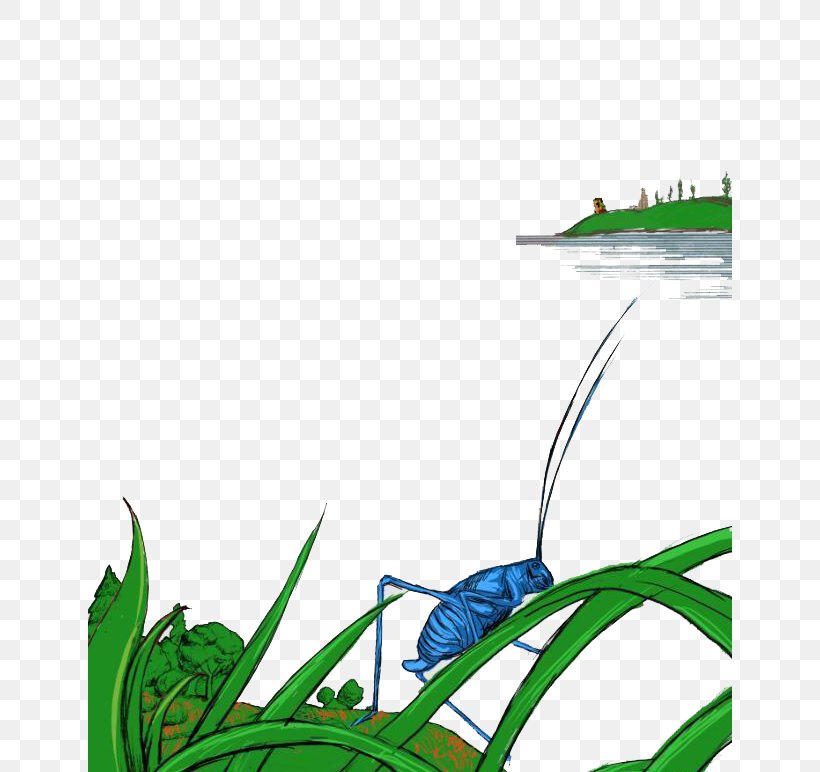 Download Wallpaper, PNG, 644x772px, Insect, Caelifera, Cartoon, Flora, Grass Download Free